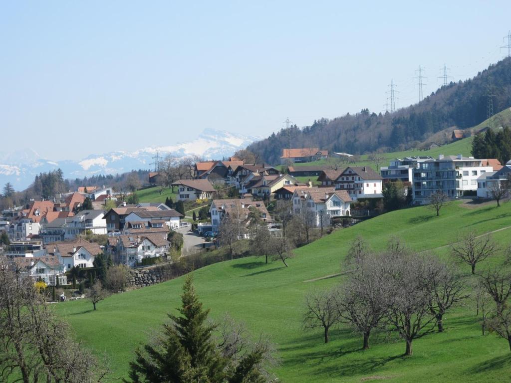 Panorama & Resort Feusisberg
